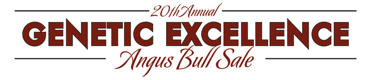 20th Annual Angus Bull Sale