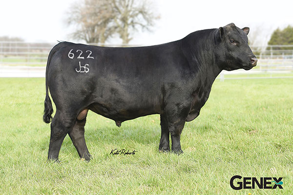 JBS Crockett 622-18782700