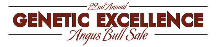 21st Annual Angus Bull Sale