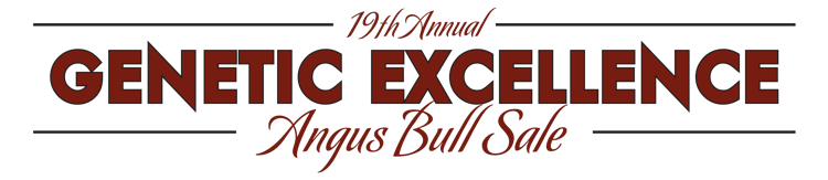 17th Annual Angus Bull Sale